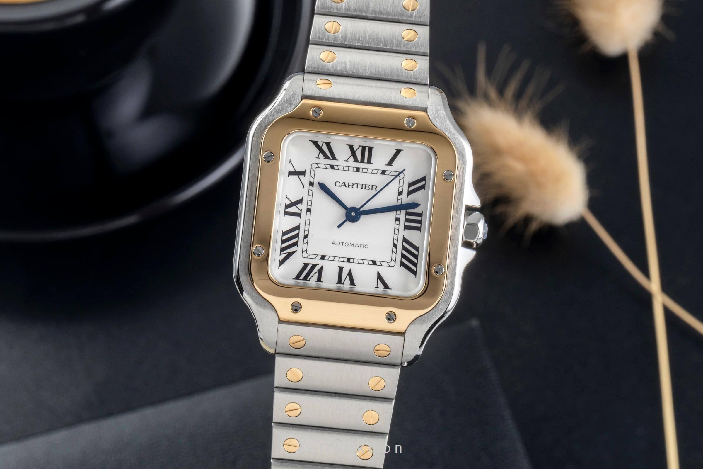 Cartier Santos acciaio automatismo orologio da uomo W2SA0016 LP: 11400EUR  [2500384]